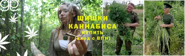 бошки Алексин