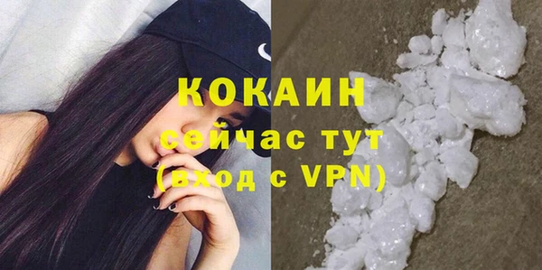 соль ск Алзамай