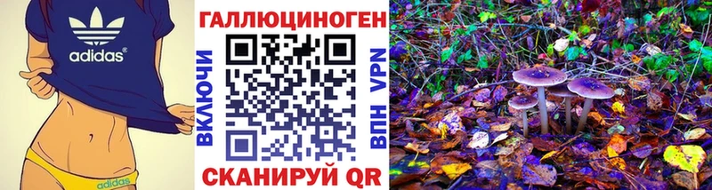 blacksprut онион  Мамоново  Галлюциногенные грибы Magic Shrooms  наркошоп 